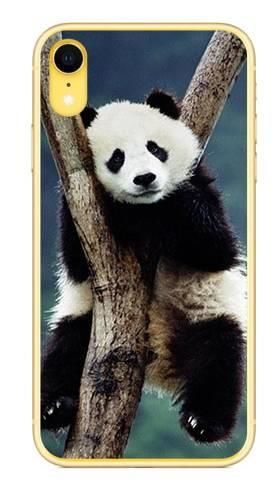 Foto Case Apple iPhone XR panda na drzewie