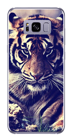 Foto Case Samsung GALAXY S8 mroczny tygrys
