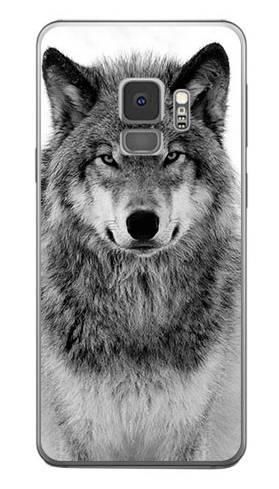 Foto Case Samsung Galaxy S9 spokojny wilk