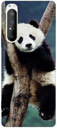 Foto Case Sony Xperia 1 II panda na drzewie