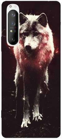 Foto Case Sony Xperia 1 II wilk w nocy