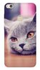 Etui IPAKY Effort lazy cat na Huawei P9 Lite 2017 +szkło hartowane