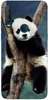 Foto Case Alcatel 1S 2020 panda na drzewie