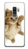 Foto Case Samsung Galaxy S9 Plus kociak